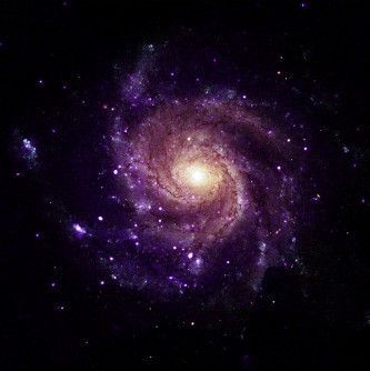 Телескоп «Чандра» NASA обнаружил 84 загадочных сверхмягких рентгеновских источника