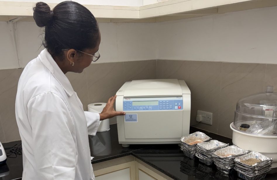 Seychelles Leverages Nuclear Technology to Improve Soil Management and Boost Fruit and Vegetable Production Capacity