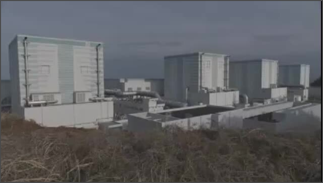 TEPCO says cooling interruption of spent fuel pool at Fukushima Daini Unit 1 due to human error