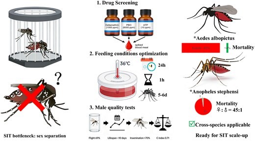 Chinese Team Proposes "Toxic Blood Meal" Pre-Treatment Approach to Boost Sterile Insect Technique for Mosquitoes