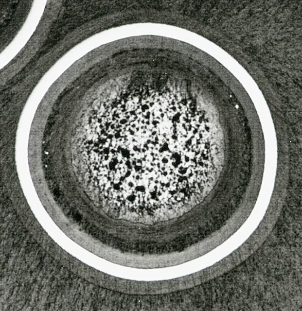 U.S. Completes Mechanical Property Measurements of Irradiated HALEU TRISO Fuel Particles