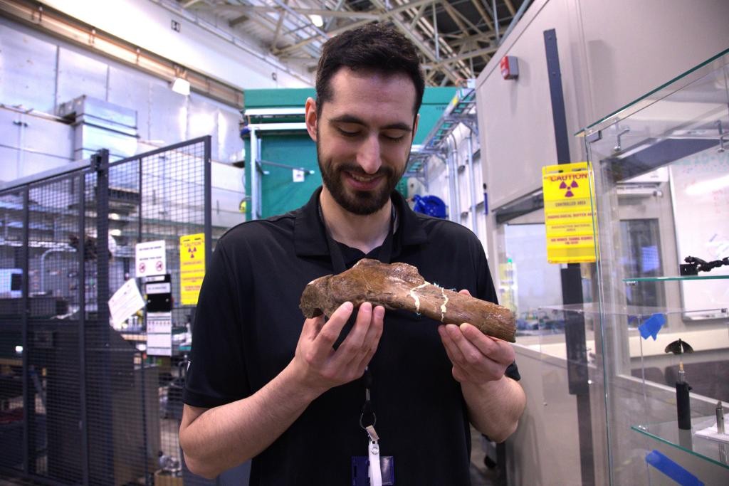 ORNL Neutron Imaging Technology Reveals Healed Rib Fracture in Tyrannosaurus Rex Fossil