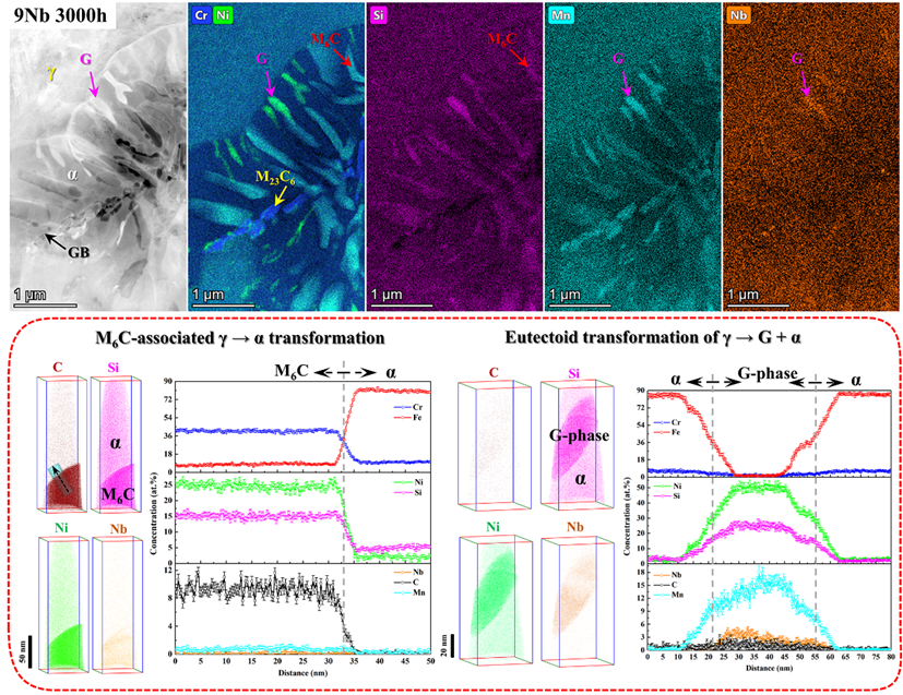 New Progress in Research on Microstructural Stability of High-Silicon Austenitic Steels for Lead-Cooled Fast Reactors