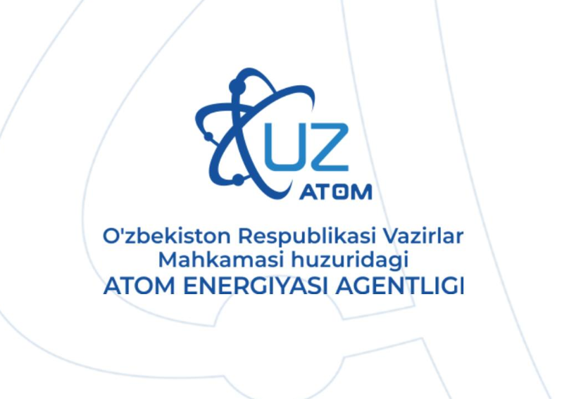 Uzbekistan and Turkey Discuss Cooperation on Civil Construction and Infrastructure Works for the First Nuclear Power Plant
