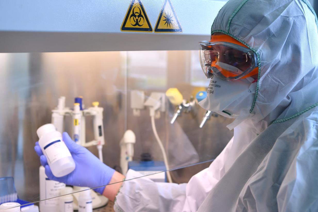 La FAO et l'AIEA : les techniques nucléaires améliorent la production agricole et la sécurité alimentaire