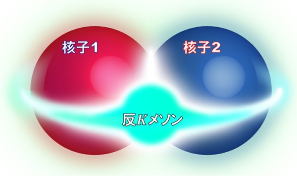 Première observation expérimentale de noyaux d'antikaons par faisceau de photons