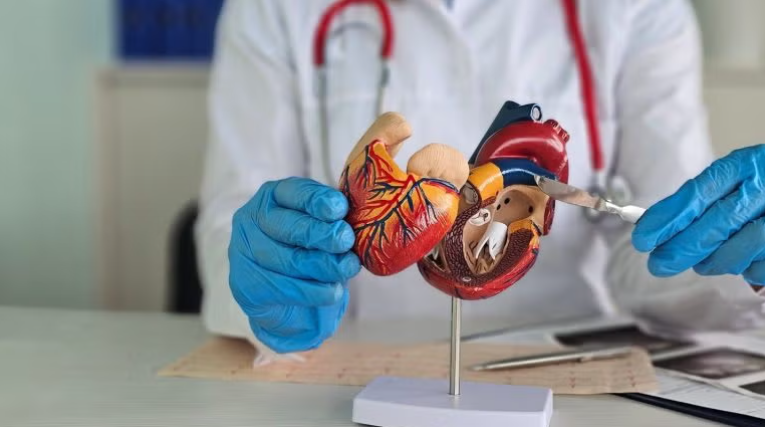 La FDA accorde l'autorisation 510(k) au système Emboliner pour les interventions TAVR