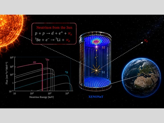 XENONnT впервые зафиксировал сигналы рассеяния низкоэнергетических солнечных нейтрино на электронах