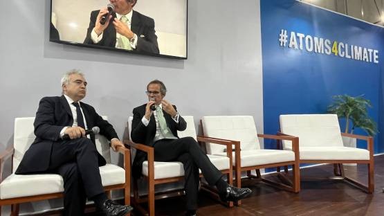 国际能源署(IEA)执行主任：“核能正在强势回归”