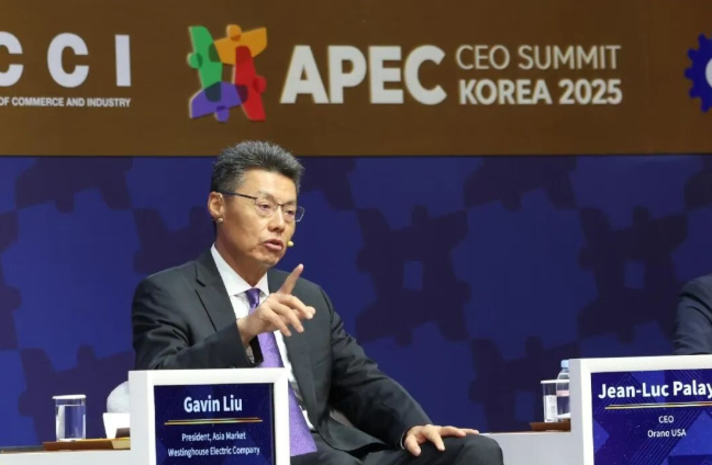西屋电气亚洲总裁出席2025APEC工商领导人峰会，探讨AI赋能核能发展