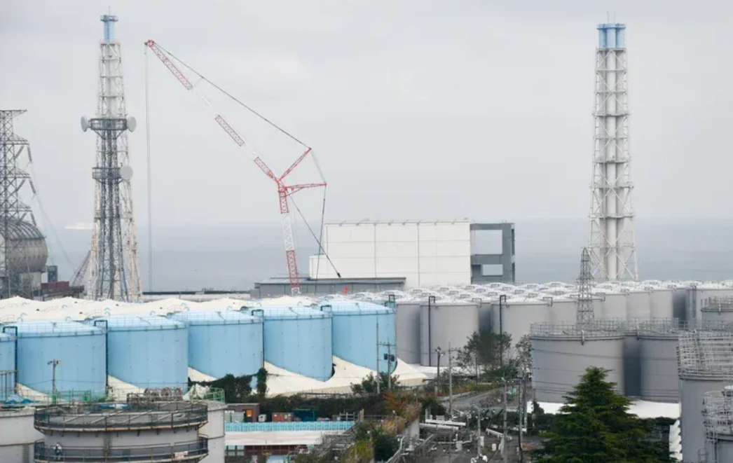 日本福岛核电站发现了耐辐射微生物