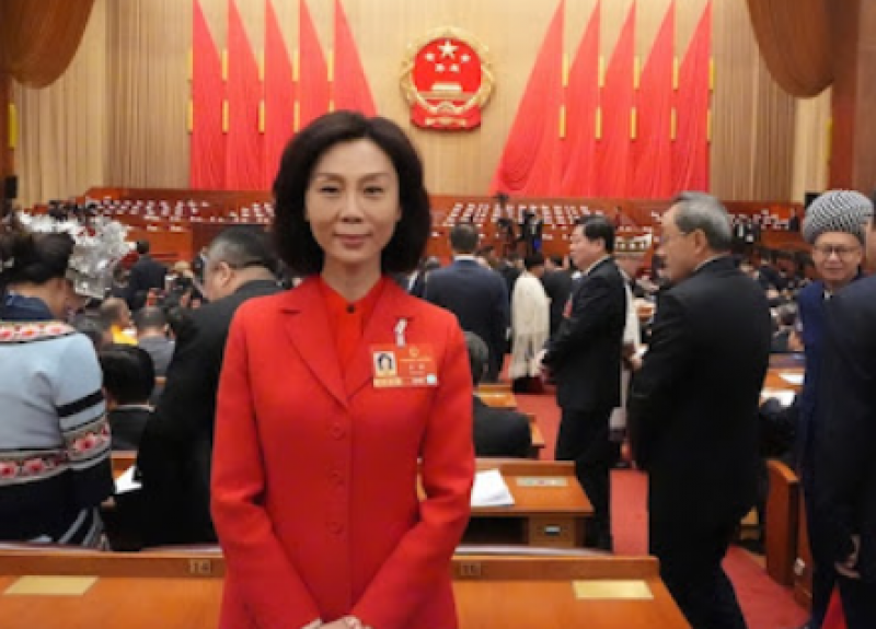 两会聚焦 | 王麒代表：建议组建四川省核聚变创新联合体，支持成渝综合性科学中心建设