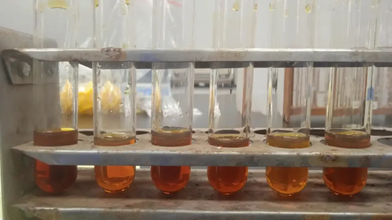 印尼研发钴-60伽马辐照技术提高废弃食用油生物柴油产量