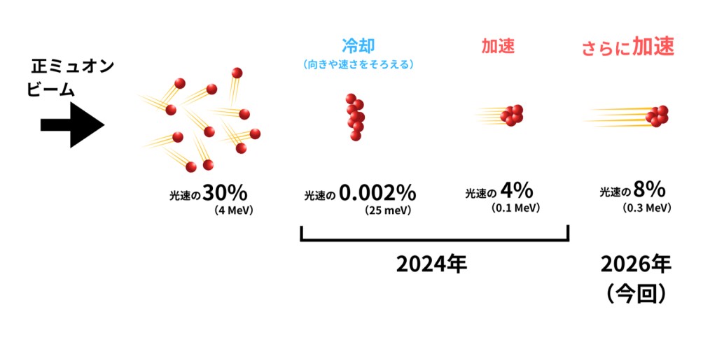 日本研究团队将μ子加速至0.3 MeV，向世界唯一μ子加速器迈进一步
